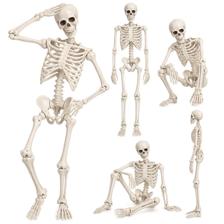 5.4FT Poseable Skeleton with Flexible Joints Q6445