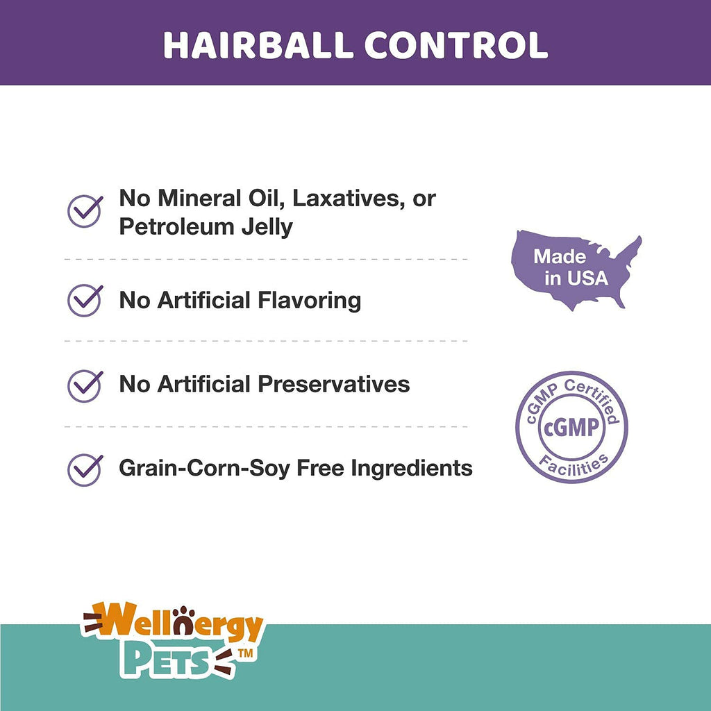 Natural Hairball Control Chews for Cats with Omega 3 6 Fatty Acids 70ct E7036