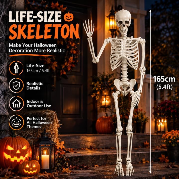 5.4FT Poseable Skeleton with Flexible Joints Q6445