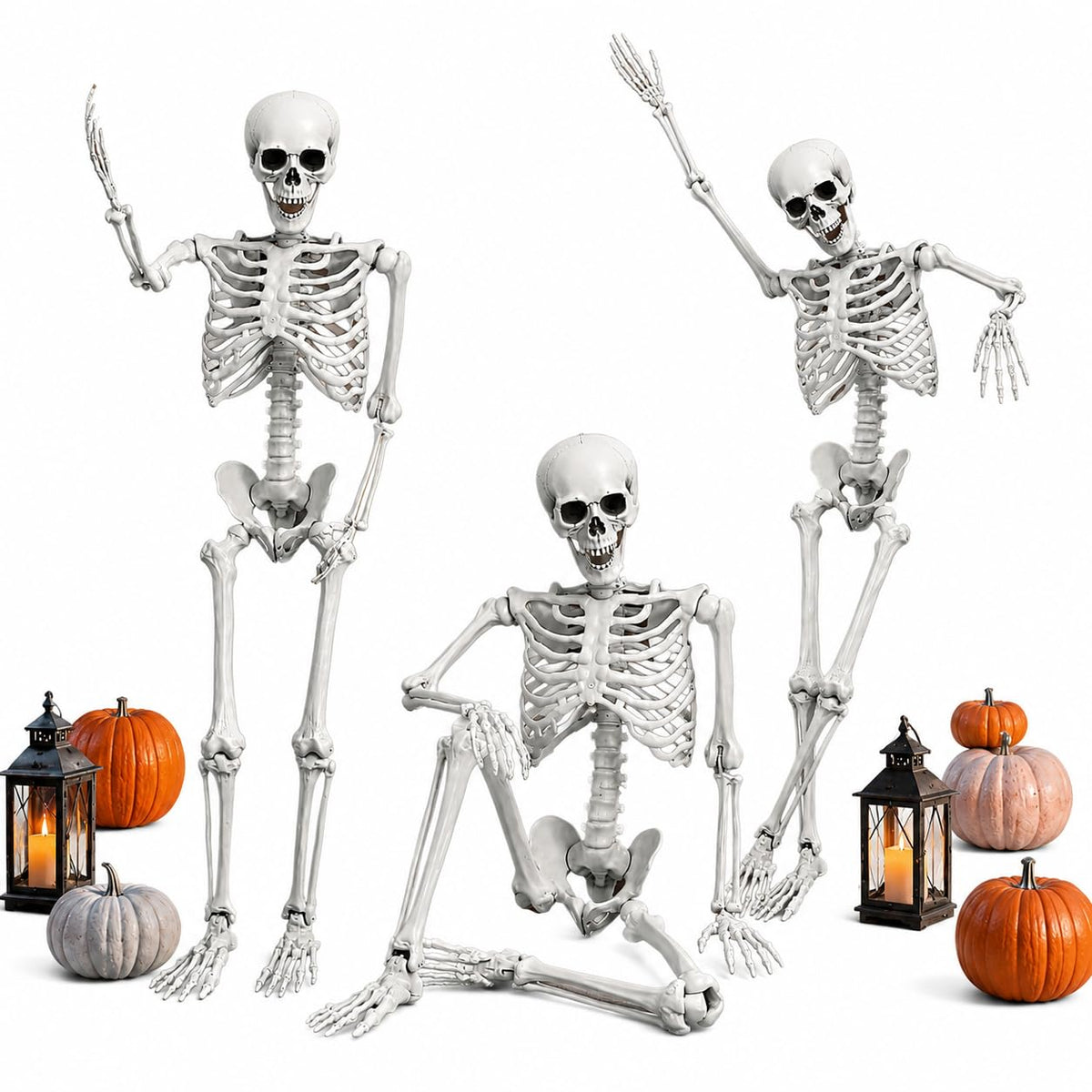 5.4ft/165cm White Posable Life Size Skeleton D91087