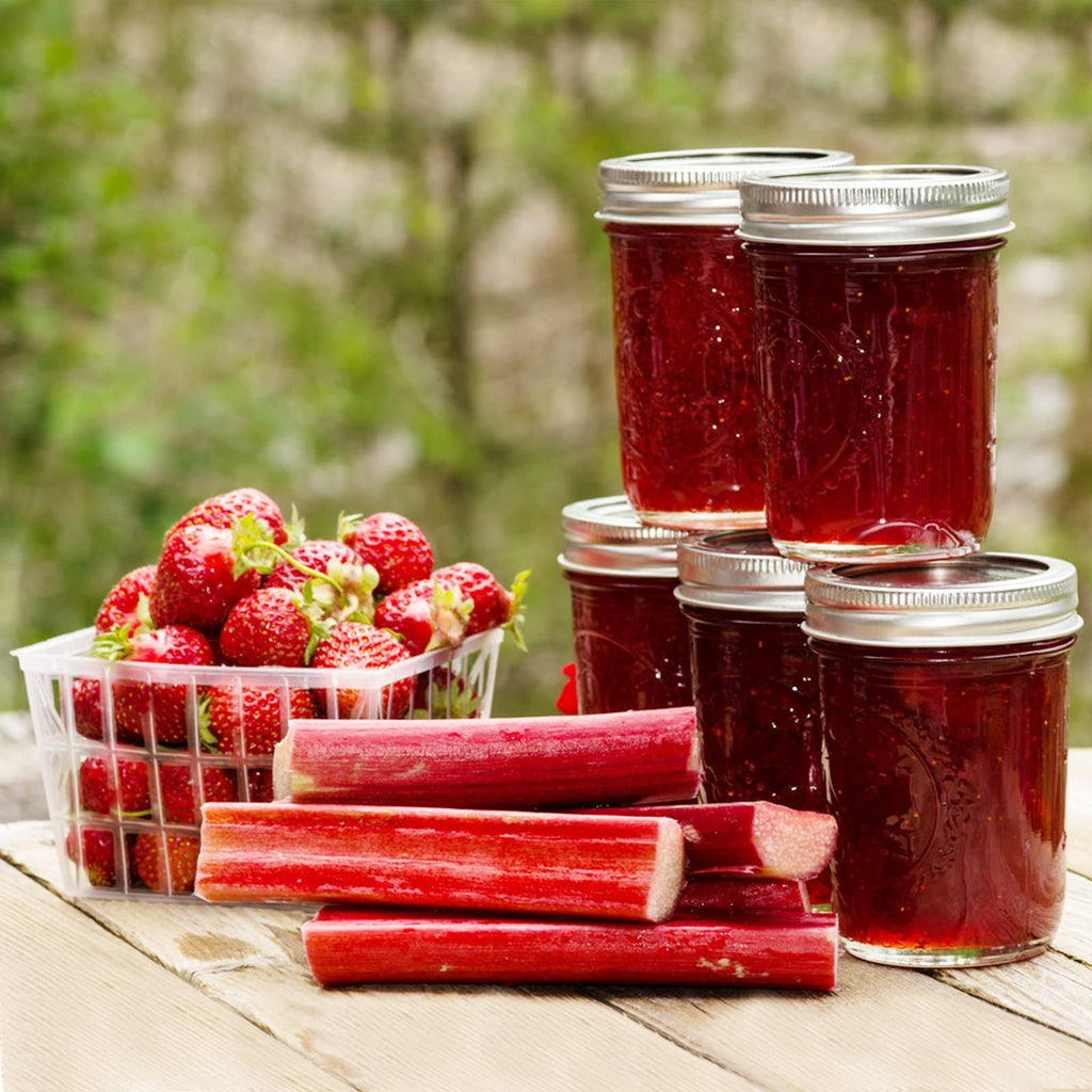 16 oz 6 Pack Wide Mouth Glass Mason Jars with Airtight Lids J416766