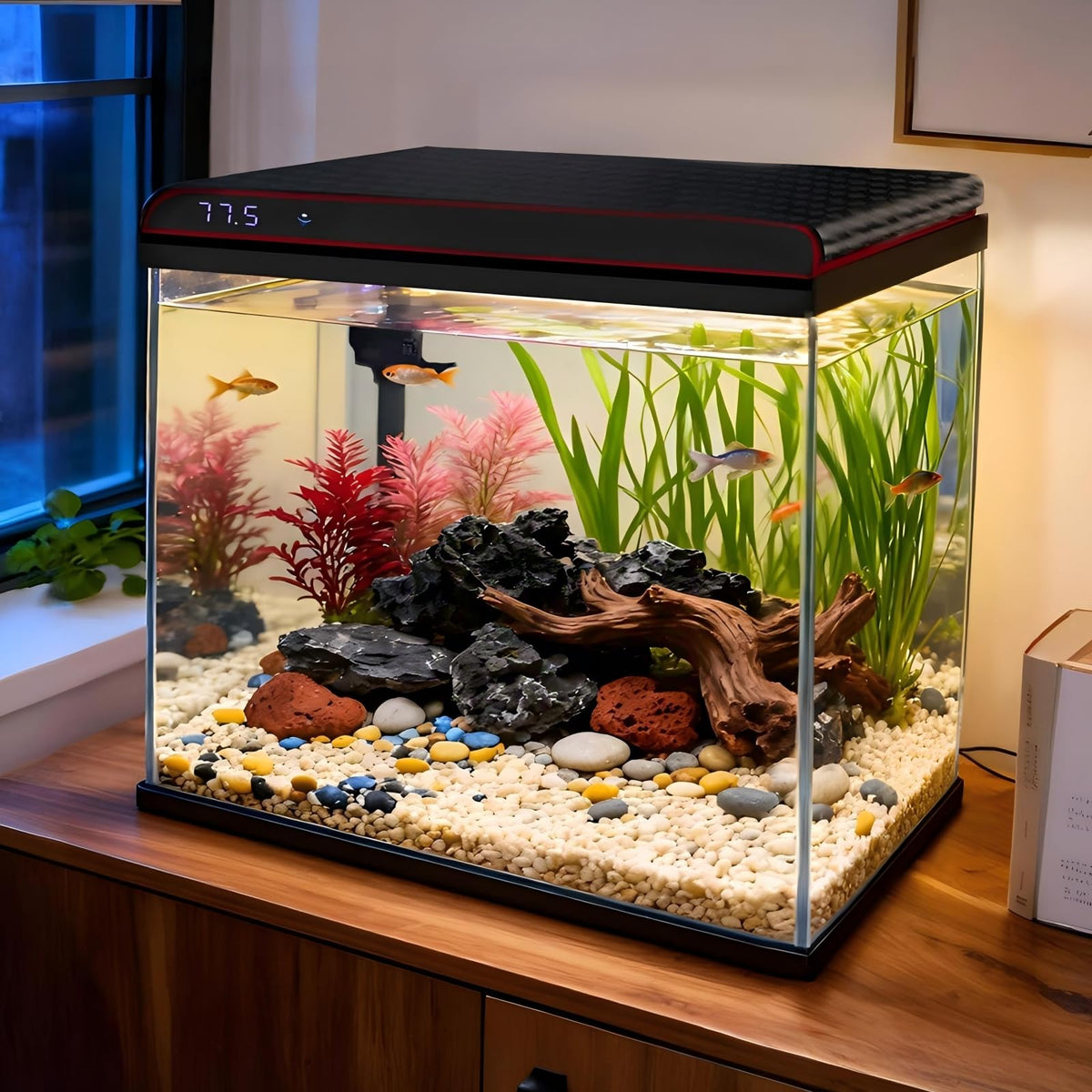 10 Gallon Glass Fish Tank Aquarium Starter Kit J249
