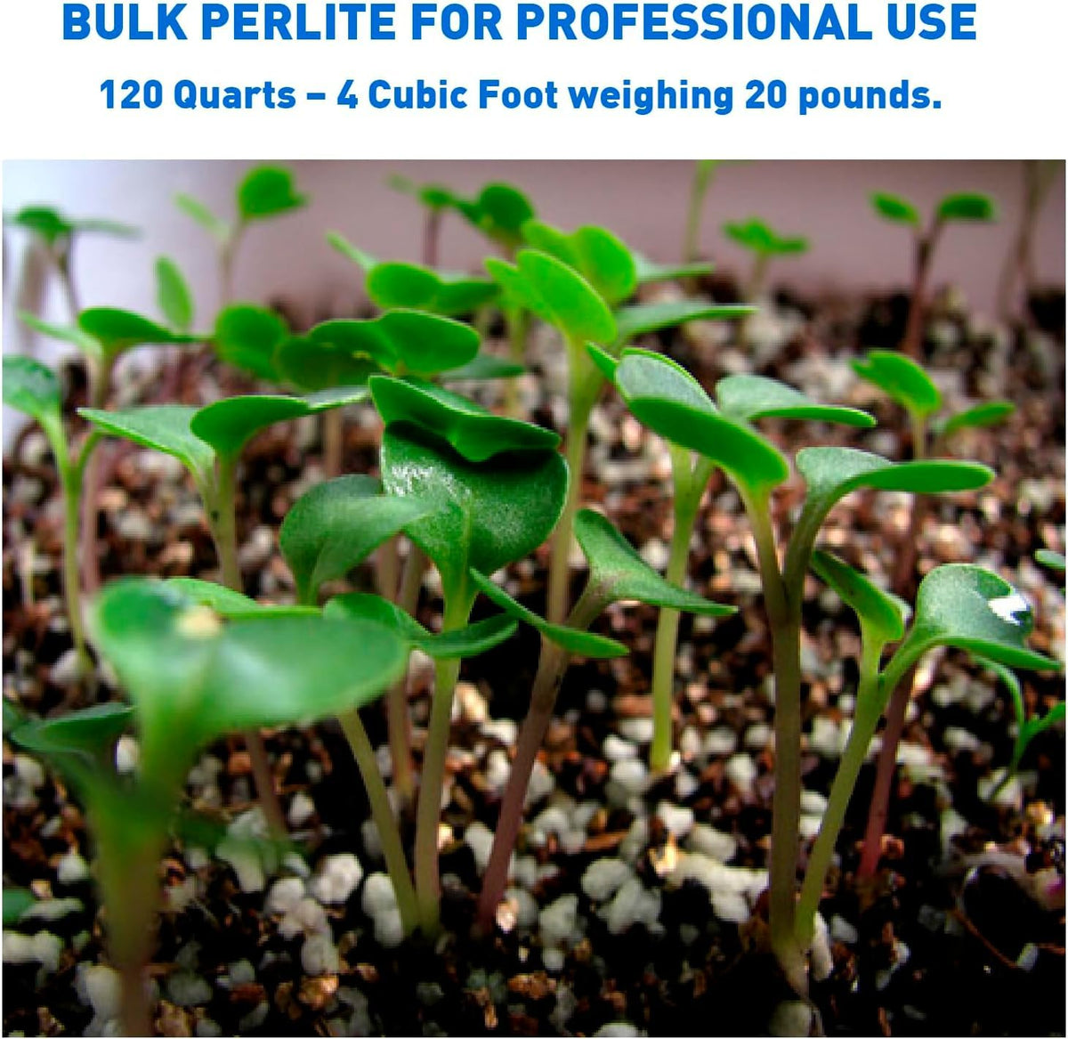 Perlite 4 Cubic Feet 1 Bag N72134