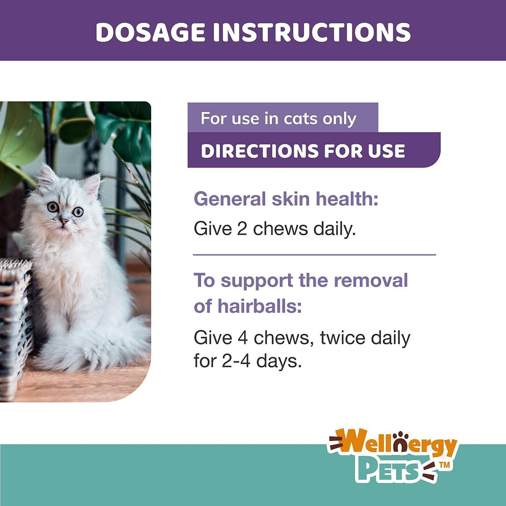 Natural Hairball Control Chews for Cats with Omega 3 6 Fatty Acids 70ct E7036