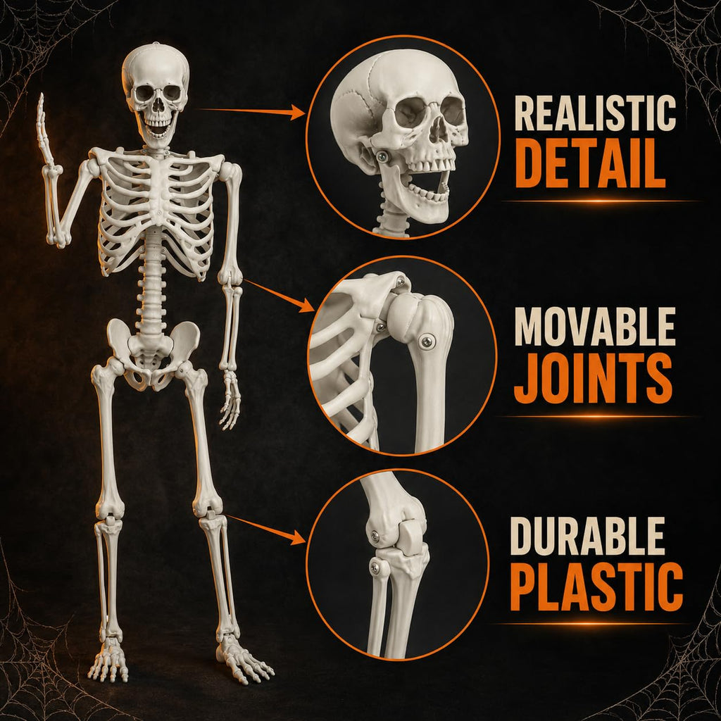 5.4ft/165cm White Posable Life Size Skeleton D91087