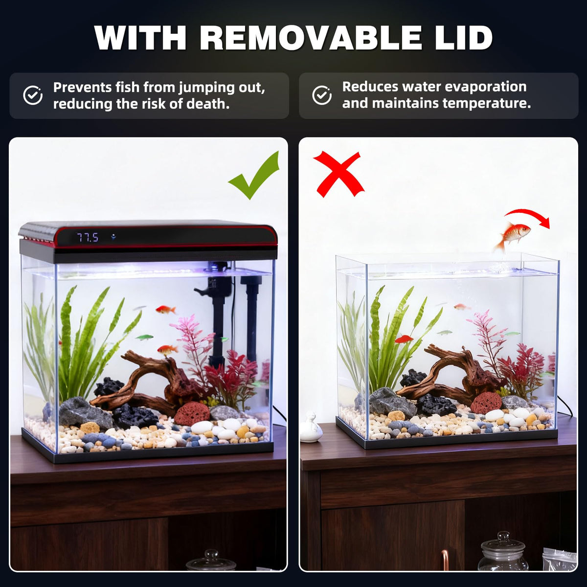 10 Gallon Glass Fish Tank Aquarium Starter Kit J249