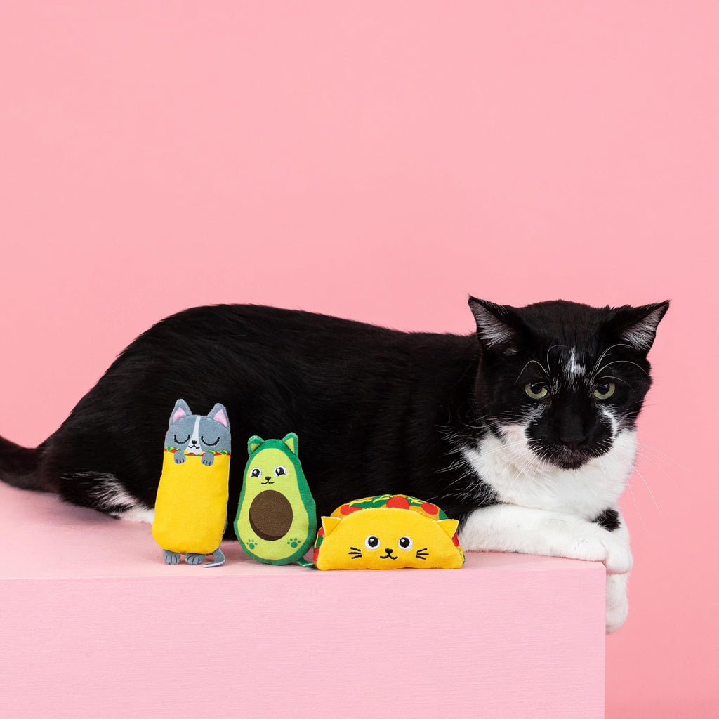 Plush Cat Toy 3 Piece Set M13870