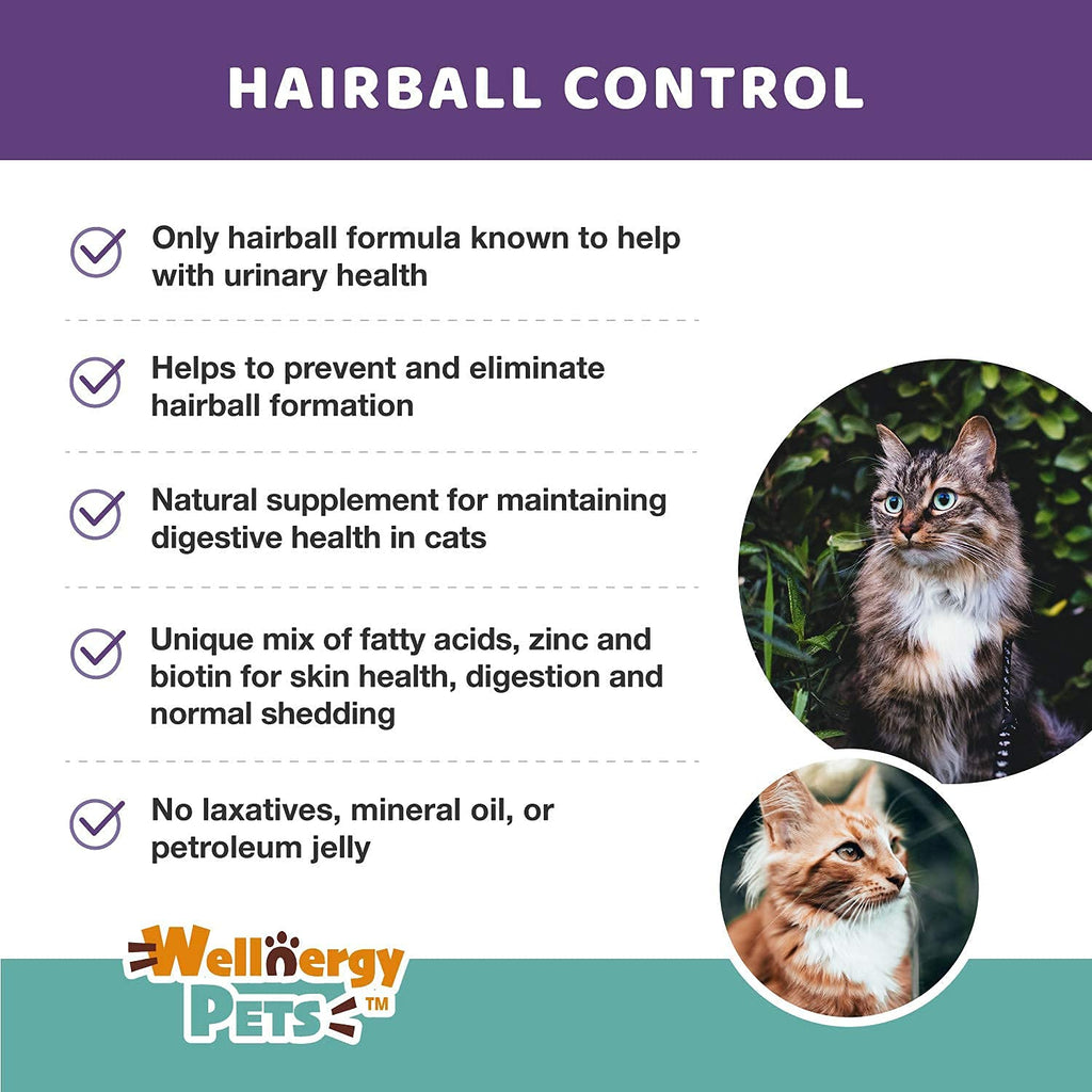 Natural Hairball Control Chews for Cats with Omega 3 6 Fatty Acids 70ct E7036
