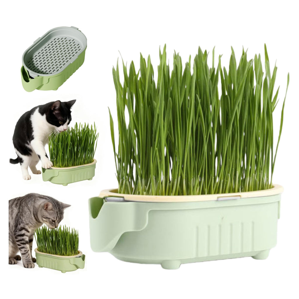 Hydroponic Cat Grass Growing Kit with Germination Tray S620