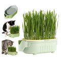 Hydroponic Cat Grass Growing Kit with Germination Tray S620