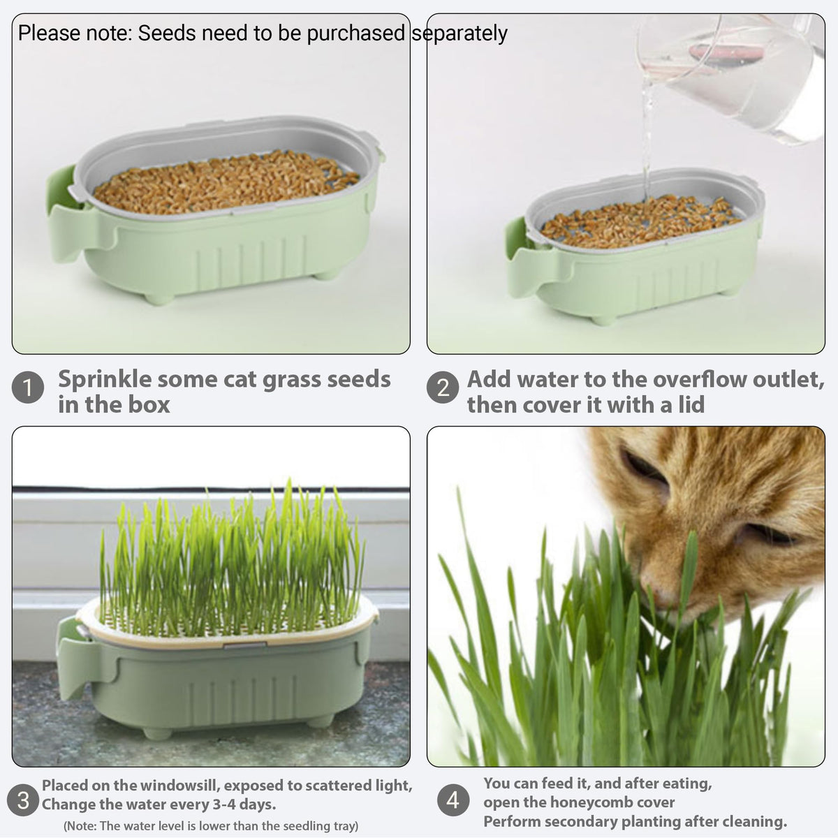 Hydroponic Cat Grass Growing Kit with Germination Tray S620