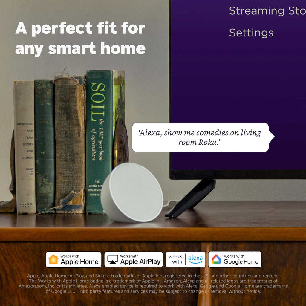 HD Streaming Stick with Voice Remote V5725