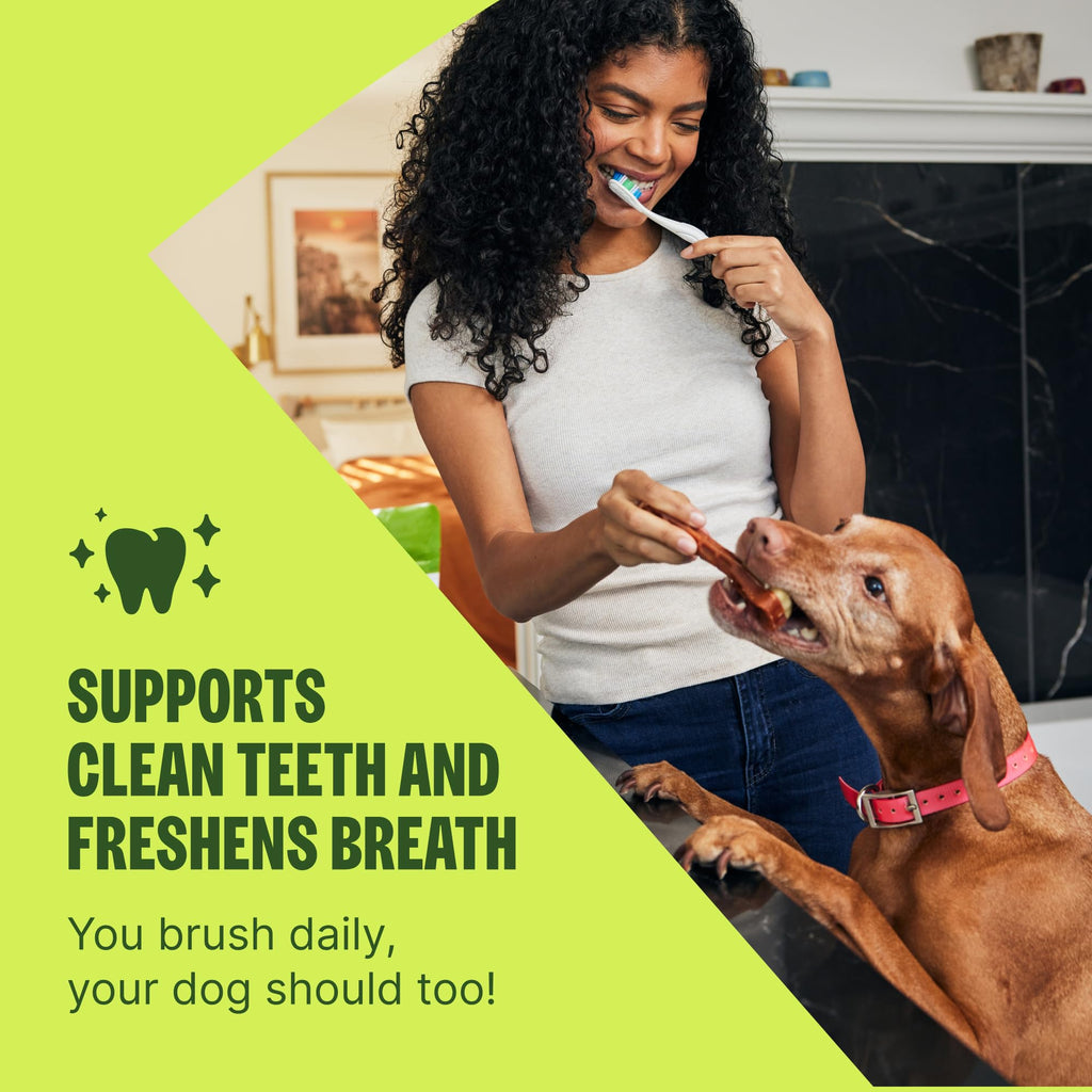 Natural Dog Dental Chews Small Size 14.81 oz 28 Count Y184