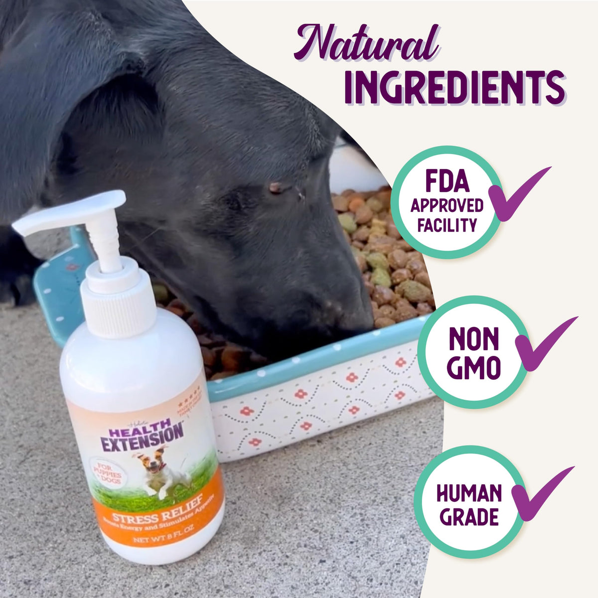 Stress Relief Supplement for Dogs, 8oz R4281