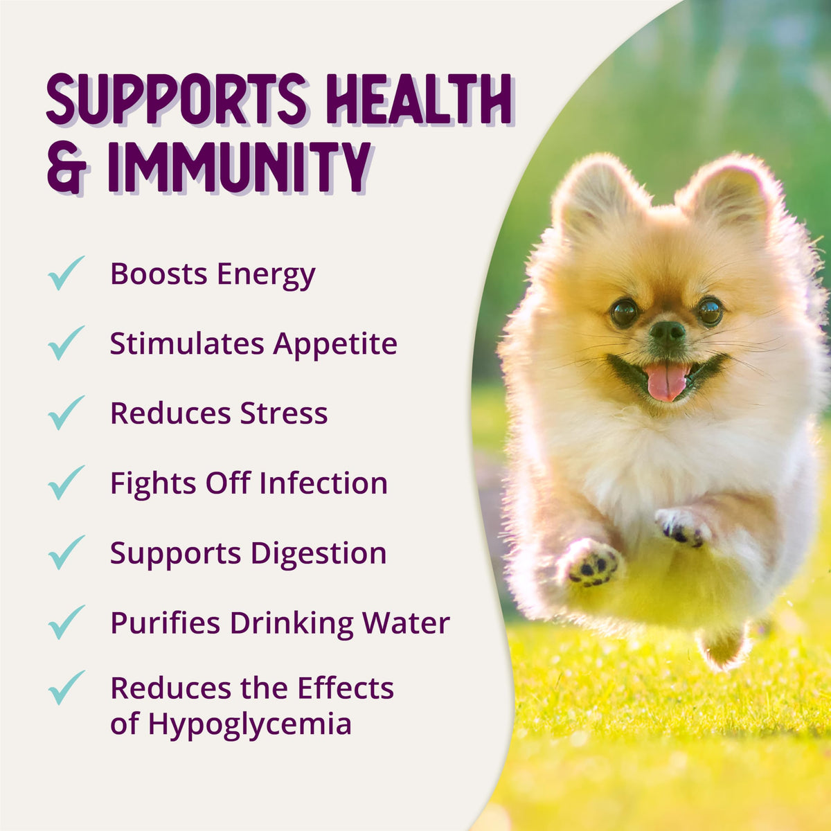 Stress Relief Supplement for Dogs, 8oz R4281