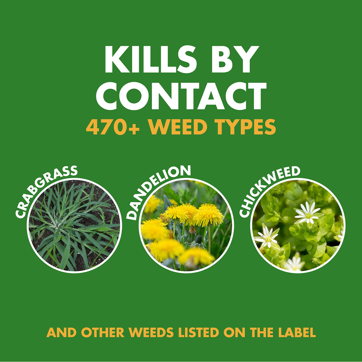 Weed and Crabgrass Killer 1 Gal V582761